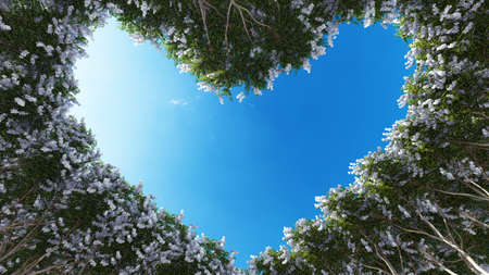 Concept or conceptual heart shape symbol made of forest tree branches over a blue sky background as romantic frame. A metaphor to love, Valentine Day celebration, environment ecology 3D illustrationの写真素材