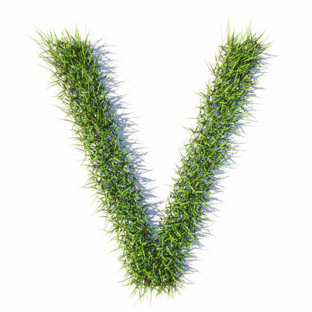 Concept or conceptual green summer lawn grass symbol isolated  white background, the font V . 3d illustration metaphor for nature, conservation, organic, growth, environment, ecology, spring or summerの写真素材