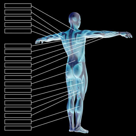 3D illustration of a concept male human anatomy, a man with muscles and textbox on black gradient for body, tendon, fit, builder, strong, biological, skinless, shape, muscular, posture, health medicalの写真素材