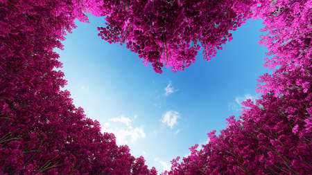 Concept or conceptual heart shape symbol made of forest tree branches over a blue sky background as romantic frame. A metaphor to love, Valentine Day celebration, environment ecology 3D illustrationの写真素材