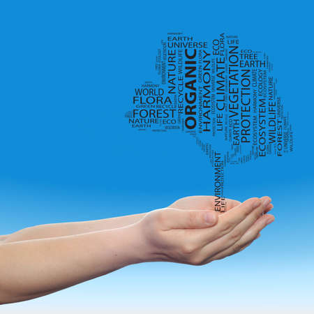 Concept or conceptual black ecology text word cloud tree in man or woman hand on blue sky background for nature, ecology, green, energy, natural, life, world,  global, protect, environmental recyclingの写真素材