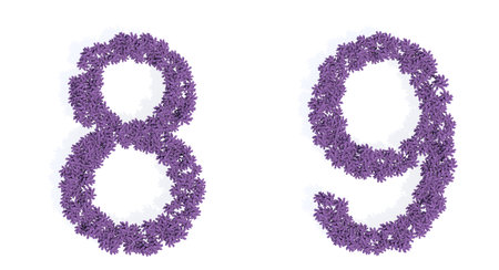 Concept or conceptual set of beautiful blooming lupine bouquets forming the fonts  8 and 9. 3d...
