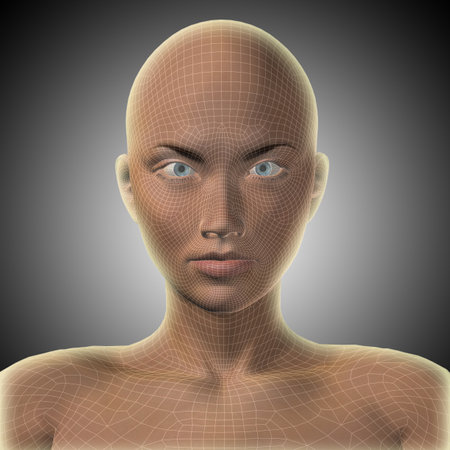 Concept or conceptual 3D illustration wireframe young human female or woman face or head on gray background metaphor to technology, cyborg, digital, virtual, avatar, model, scienceの写真素材