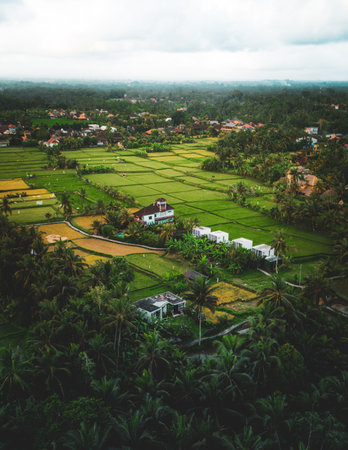 Aerial drone view Ubud rice terraces countryside Bali, lush green paddies surround traditional homes and palm trees under cloudy sky. Rural Bali landscape and tropical Ubud harmony drone photoの写真素材