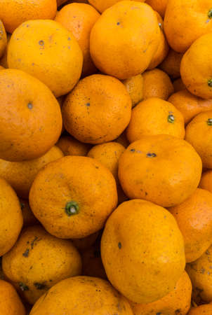 Mandarin orangesの写真素材