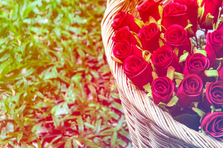 Abstract basket with red roses on a grass background made with color filters style.の写真素材