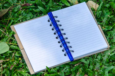 Blank notebook with purple pen  on green grassの写真素材