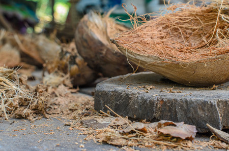 discarded coconut husk or coconut shell.の写真素材