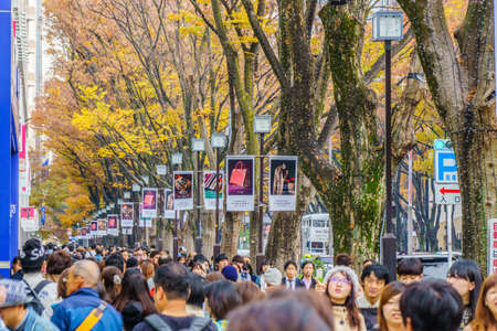 Tokyo, Japan - November 20, 2016 : Crowds walk through a Omote Sando Road. Omote-sando is considered one of most important shopping areas in Tokyo, the largest city in the world.のeditorial素材