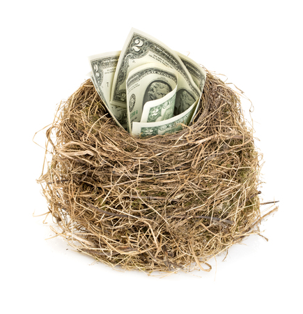 Original bird's nest with dollar bills. New business starting by banknotes. Business concept.の写真素材
