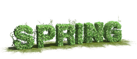 Spring word - from Ivy - isolated on white backgroundの写真素材