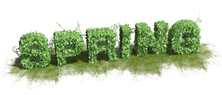 Spring word - from Ivy - isolated on white backgroundの写真素材