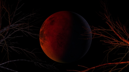 blood Moonの写真素材