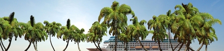 Cruise ship and palm trees in sunset Panoramaの写真素材
