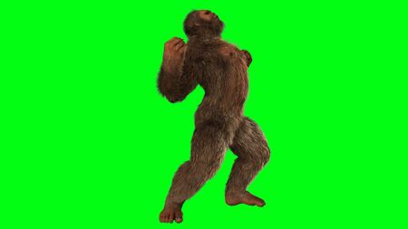 Sasquatch - Bigfoot seperated on greenscreenの写真素材