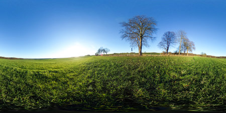 360 degrees spherical panorama of Agricultural fields with green plants and blue sky in autumn