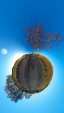 Little planet spherical view of asphalt country road with trees on blue sky in autumnの写真素材