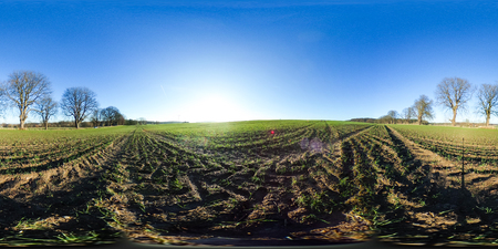 360 degrees spherical panorama of agricultural fields in autumn with blue skyの写真素材