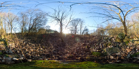 360 degrees spherical panorama of mystical old stones in autumn forest