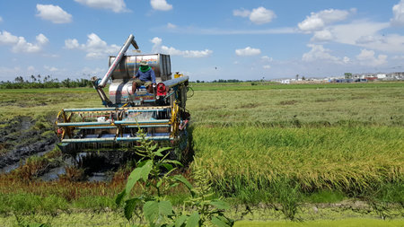 man working on tractor for rice harvest in Thailand