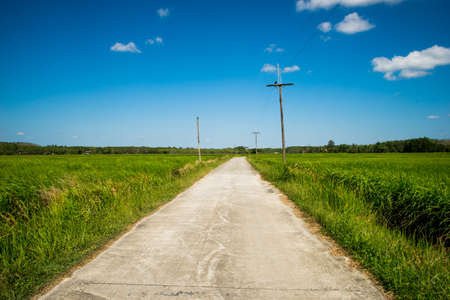 Side streets are fields.の写真素材