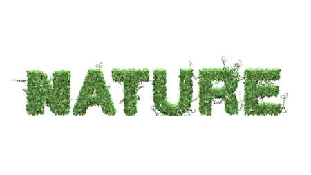 Nature  logo from green ivy leaves  separated on white backgroundの写真素材