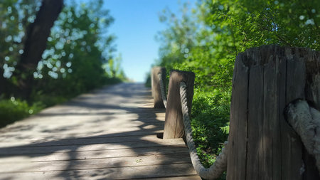 Beach Access in Light and Shadow