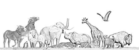 Animals of the wildernis in grass - cartoon silhouette - isolated on white backgroundの写真素材