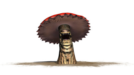 angry mushroom on a sand area - separated on white background