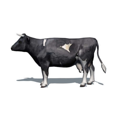Farm animals - cow with shadow on the floor - isolated on white background - 3D illustrationの写真素材