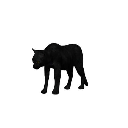 Farm animals - cat - isolated on white background - 3D illustrationの写真素材