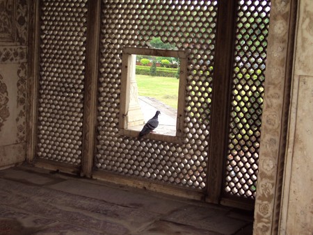A Pigeon sitting at the Window of Marble crafted Diwan-i-Khas Palace of Red Fortの写真素材