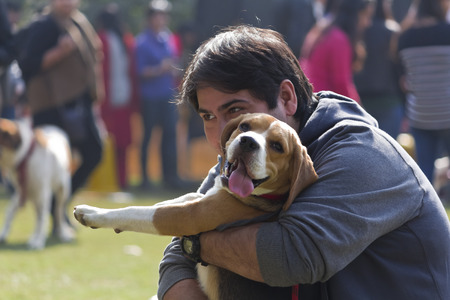 A Beagle Dog Cuddled by its Owner at PetFed 2015 in New Delhi, India.のeditorial素材