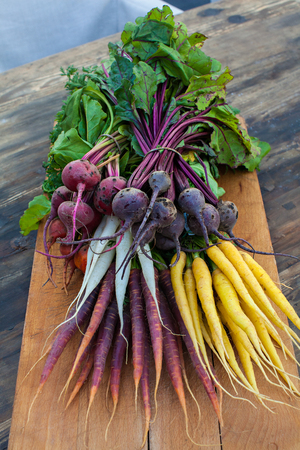 carrots and radish organic natural foodの写真素材