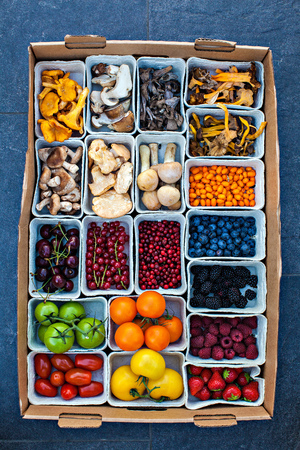 forest fruits and vegetablesの写真素材