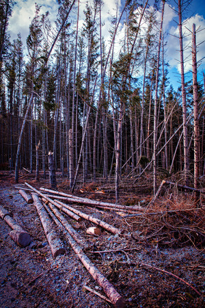 industry destruction natureの写真素材