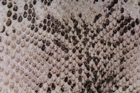 Snake skin Texture pattern faux fake plastic fashion dress fabric with snake pattern.