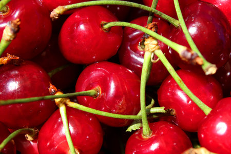 Cherry sweet red fresh fruit texture as background. Cherries background. Food photography.