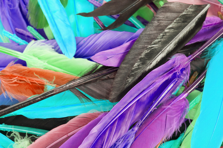 Colorful feather rainbow bird feathers. Goose dove duck parrot quill feathres... Rainbow colored background.の写真素材