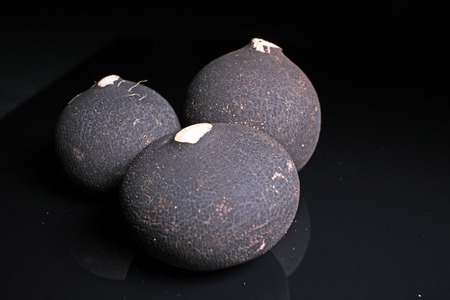 Black radish on black reflective studio background. Isolated black shiny mirror mirrored background for every concept...の写真素材