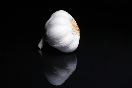 Garlic on black reflective studio background. Isolated black shiny mirror mirrored background for every concept..の写真素材
