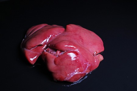 Raw liver on black reflective studio background. Isolated black shiny mirror mirrored background for every concept. Liver.の写真素材