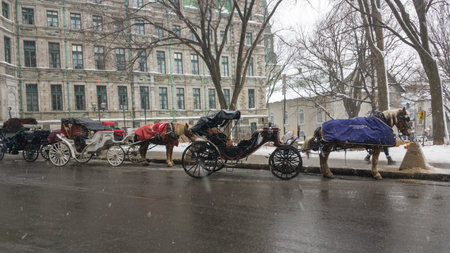Horse drawn carriage  in the heart of Old Quebec on a winter day with snow.のeditorial素材
