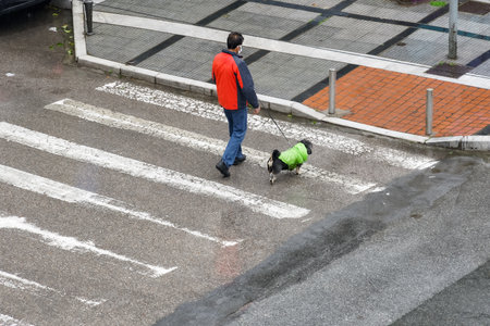 Thessaloniki, Greece Man with protective mask takes dog for a walk. Male wearing face mask holds a canine on leash at an empty city street, due to coronavirus traffic restrictions.のeditorial素材