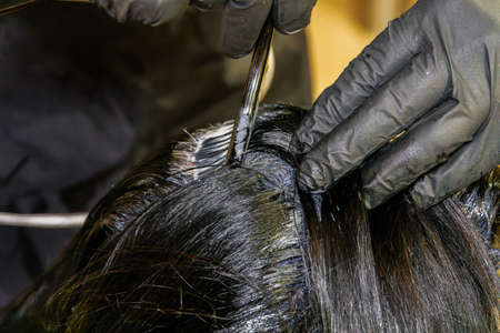 Hair dye color applied on the scalp by a hairdresser wearing black rubber gloves. At-home hair coloring styling with a solid level of black paint mix coverage, using a brush on the hair roots.の写真素材
