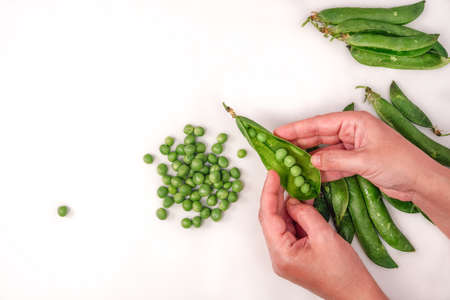 Cleaning fresh peas by hand top view, against white background. Close up of female opening green pod containers to remove the small edible seeds and place on a flat surface.の写真素材