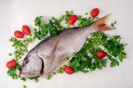 Whole dentex fish ready to cook top view, against white background. Close up of freshwater seafood, garnished with cherry tomatoes, fresh peas and parsley leaves on a flat surface.の写真素材