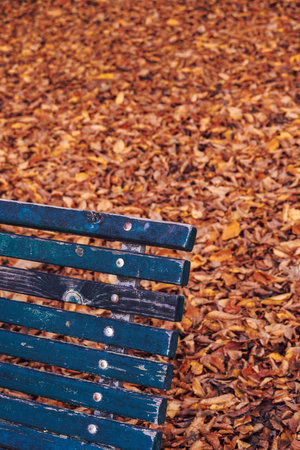 Empty decayed wooden bench on a park against defocused fallen yellow, orange and red autumn leaves.の写真素材