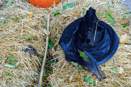 Top view of Halloween concept conical pointy witch hat laying on straw.
