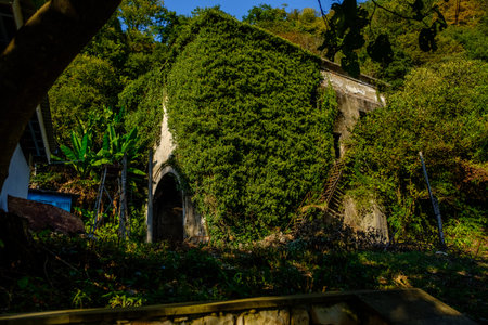 Overgrown with greenery old abandoned building in sunny day.